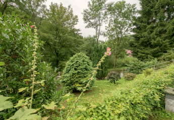 Vue d’un jardin verdoyant avec arbres et arbustes dans un hébergement glamping par temps nuageux.