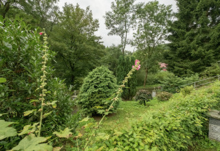 Blick auf einen üppig grünen Garten mit Bäumen und Sträuchern bei einer Glamping-Unterkunft.