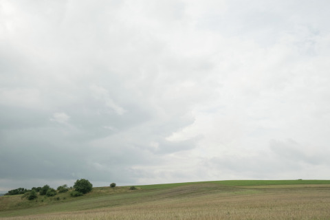 Foto van open velden en glooiende heuvels onder een bewolkte lucht bij een glampingverblijf.