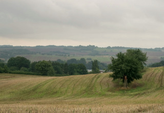 Ländliche Landschaft mit Feldern, Bäumen und Jagdstand an einem glamping Unterkunftsort bei Wolken.