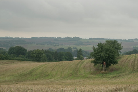 Landelijk uitzicht met glooiende velden, bomen en een uitkijktoren nabij een glamping-accommodatie.