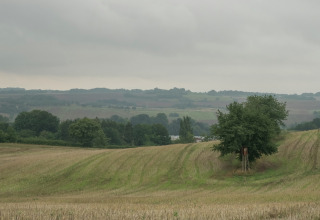 Panorama rurale con campi ondulati, alberi e torretta vicino a un alloggio glamping immerso nella natura.
