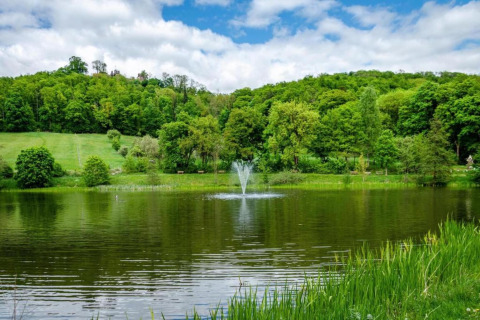 Stagno tranquillo con fontana e alberi verdi presso Holiday home with Parking, Germania.