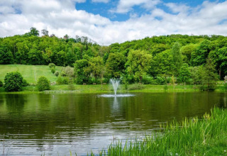 Herrlicher Ausblick auf einen Teich mit Brunnen, umgeben von grünen Bäumen, bei Holiday home with Parking, Deutschland.
