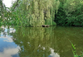 Vredige vijver met een kleine houten steiger aan Holiday home «with Parking» in Duitsland.