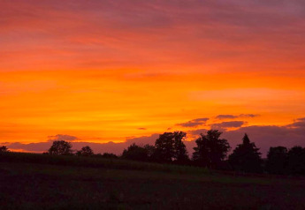 Coucher de soleil éclatant sur des arbres au chalet Holiday home «with Parking» en Allemagne, ciel orange et violet.