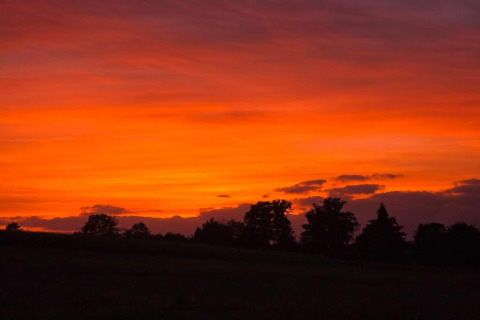 Sonnenuntergang über Bäumen beim Holiday home «with Parking» Chalet in Deutschland mit orangefarbenem Himmel.