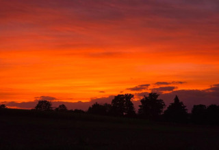 Tramonto acceso sopra gli alberi al chalet Holiday home «with Parking» in Germania, cielo arancione e viola.
