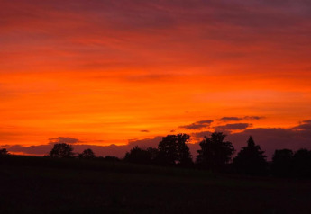 Atardecer brillante sobre árboles en el chalet Holiday home «with Parking» en Alemania, cielo naranja y púrpura.