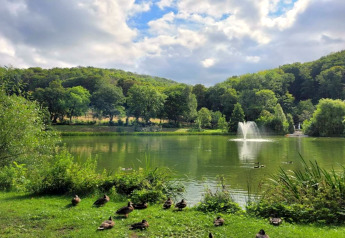 Un lac paisible avec des canards, une fontaine et des collines boisées en arrière-plan en Allemagne.