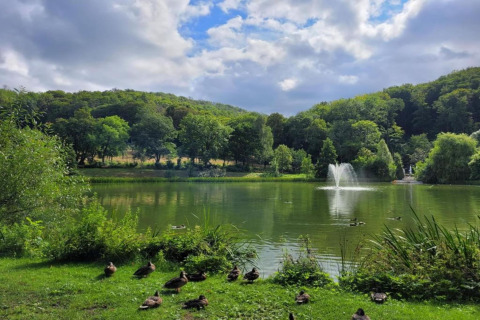 Een rustige vijver met eenden, fontein en bossige heuvels op de achtergrond in Duitsland.