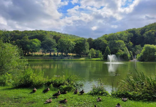 Ein ruhiger See mit Enten, Springbrunnen und bewaldeten Hügeln im Hintergrund in Deutschland.