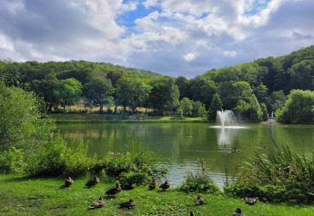 Un lago tranquillo con anatre, una fontana e colline boscose sullo sfondo in Germania.
