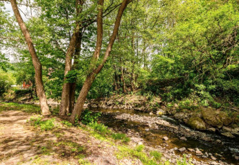 Foto eines ruhigen Waldbachs nahe dem Holiday home «with Parking» in Deutschland, umgeben von Bäumen.