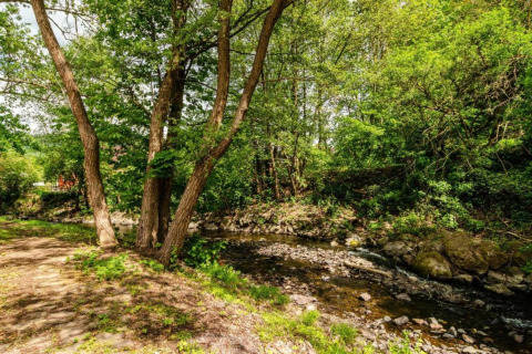Foto eines ruhigen Waldbachs nahe dem Holiday home «with Parking» in Deutschland, umgeben von Bäumen.