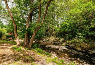 Afbeelding van een vredige bosbeek nabij Holiday home «with Parking» in Duitsland, omringd door groene bomen.