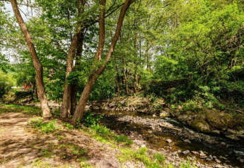 Foto eines ruhigen Waldbachs nahe dem Holiday home «with Parking» in Deutschland, umgeben von Bäumen.