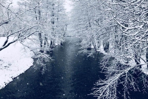 Rivier en besneeuwde bomen bij vakantieverblijf Holiday home 'with Parking' in Duitsland.