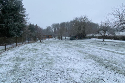 Césped cubierto de nieve en Holiday home «with Parking» en Alemania, con árboles y una cabaña al fondo.