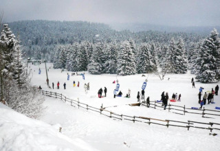Paesaggio invernale presso Holiday home 'with Parking' in Germania, persone e pini innevati sulla neve.