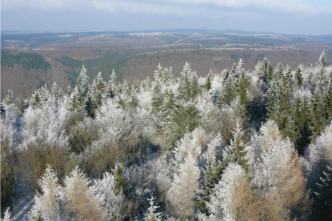Vista di una foresta innevata vicino a Holiday home «with Parking» in Germania, paesaggio invernale.