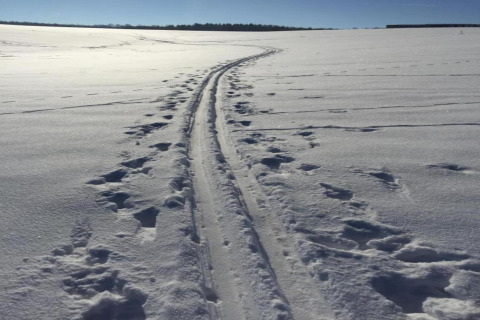 Spor af ski og fodspor i sneen under blå himmel ved Holiday home «with Parking» i Tyskland.