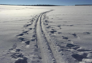 Spor af ski og fodspor i sneen under blå himmel ved Holiday home «with Parking» i Tyskland.
