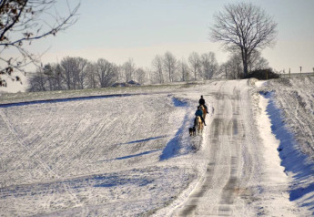 Deux cavaliers et un chien sur une route enneigée près du chalet Holiday home « with Parking » en Allemagne.