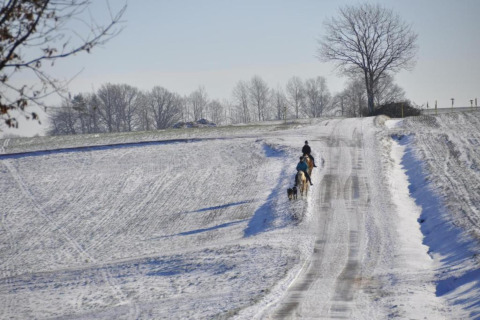 Due cavalieri e un cane su una strada innevata vicino al chalet Holiday home 'with Parking' in Germania.