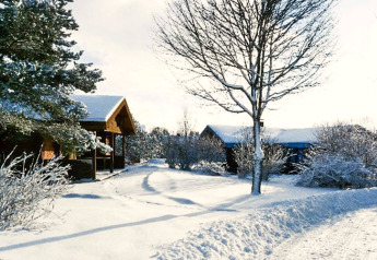 Snow-covered chalet surrounded by trees and bushes in a peaceful winter landscape under a bright sky.
