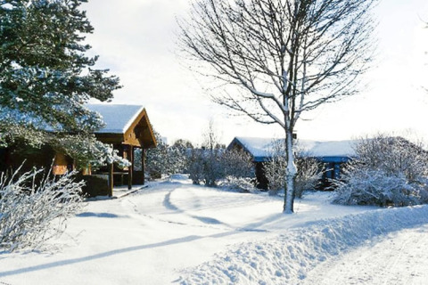 Chalet innevato circondato da alberi e cespugli, paesaggio invernale tranquillo sotto un cielo chiaro.