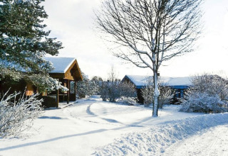 Chalet innevato circondato da alberi e cespugli, paesaggio invernale tranquillo sotto un cielo chiaro.