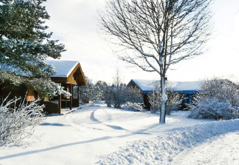 Snow-covered chalet surrounded by trees and bushes in a peaceful winter landscape under a bright sky.