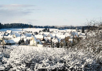 Uitzicht vanaf een chalet op een besneeuwd dorp en bomen, onder een heldere blauwe winterlucht.