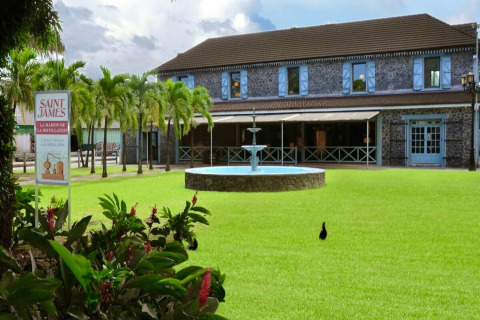 Foto de un alojamiento glamping con fuente, palmeras, césped verde y edificio de piedra tradicional.