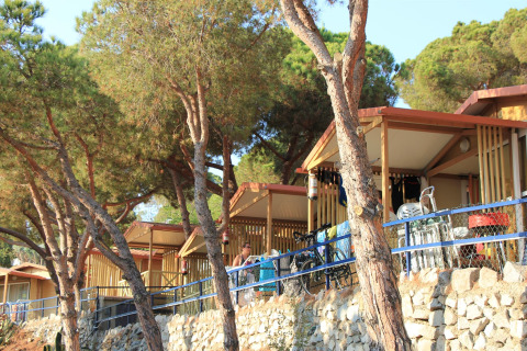 Holzbungalows im Grünen bei Camping Rocagrossa in Spanien, mit Bäumen und Steinmauer im Vordergrund.