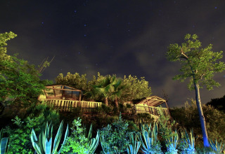 Nachtaufnahme vom Camping Rocagrossa Bungalow in Spanien mit Sternenhimmel und grüner Vegetation.