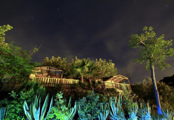 Night view of Camping Rocagrossa Bungalow in Spain with starry sky, lush greenery, and illuminated plants.