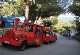 Trenino turistico rosso passa in un campeggio glamping tra tende, alberi e vista mare sullo sfondo.
