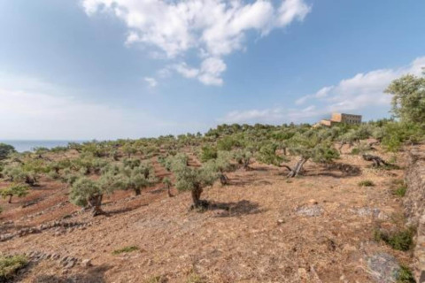 Droog landschap met olijfbomen en een gebouw in de verte bij Camping del Mar BUNGALOW MEDITERRANI, Spanje.