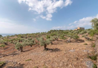 Droog landschap met olijfbomen en een gebouw in de verte bij Camping del Mar BUNGALOW MEDITERRANI, Spanje.