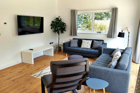 Stilfuld stue i Little Dunley - Apple Lodge, UK, med moderne sofaer, lænestol og stort vindue.