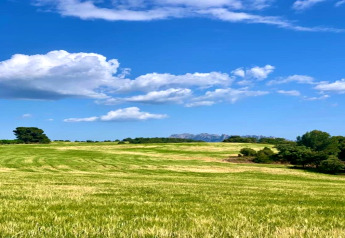 Groene weide met bomen, blauwe lucht en wolken bij Vilanova Park BUNGALOW 4 PAX S150 in Spanje.