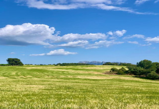 Campo verde con árboles, cielo azul y nubes en Vilanova Park BUNGALOW 4 PAX S150 en España.