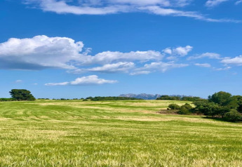 Campo verde con árboles, cielo azul y nubes en Vilanova Park BUNGALOW 4 PAX S150 en España.