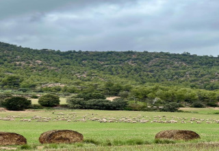 Vista de un campo verde con pacas de heno, ovejas y colinas cerca de Vilanova Park BUNGALOW 4 PAX S150 en España.