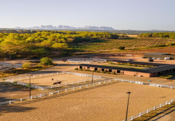 Vista aérea de una escuela ecuestre en Vilanova Park BUNGALOW 4 PAX S150 en España, rodeada de naturaleza.