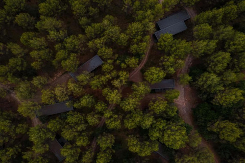 Vista aérea del Vilanova Park BUNGALOW 4 PAX S150 en España, rodeado de bosque frondoso y senderos.