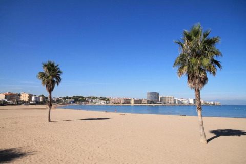 Palm-lined beach at Nomad Paraiso in Spain with city buildings, blue sea, and a clear sunny sky.