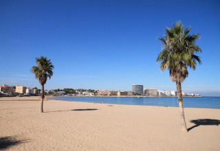 Palm-lined beach at Nomad Paraiso in Spain with city buildings, blue sea, and a clear sunny sky.